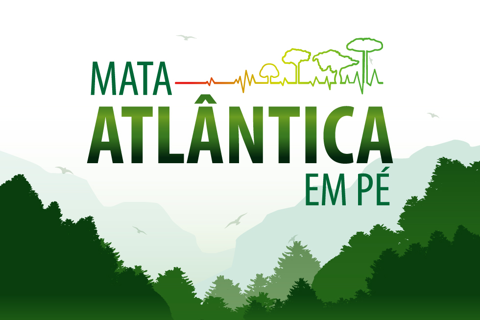 mata_atlantica_imagem_materia