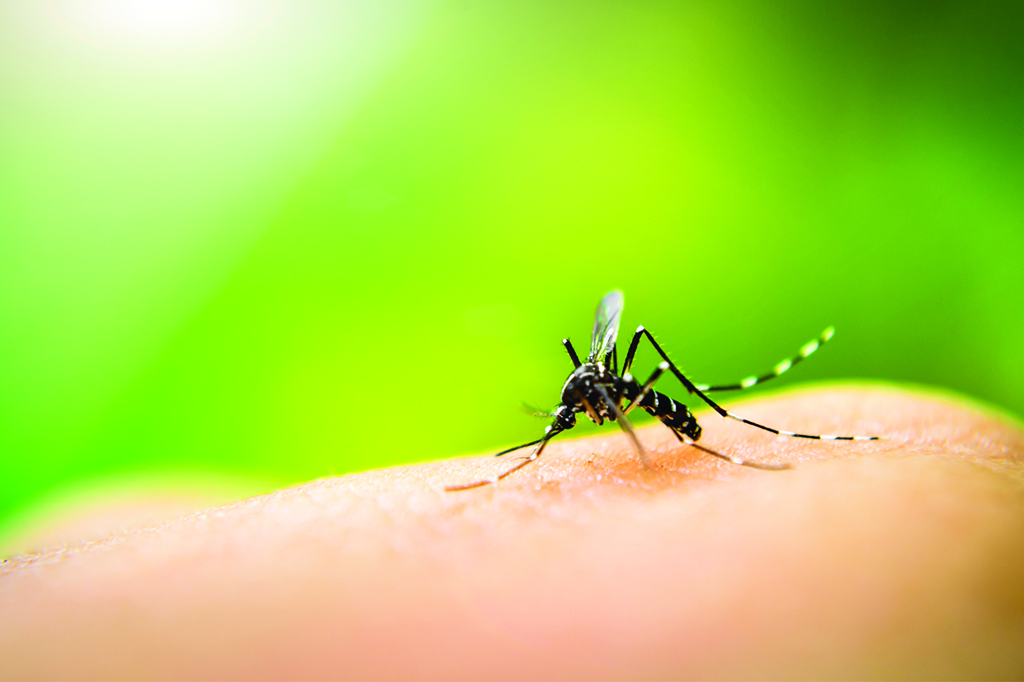 criado-aplicativo-capaz-de-detectar-dengue-e-zika-em-atc3a9-30-minutos