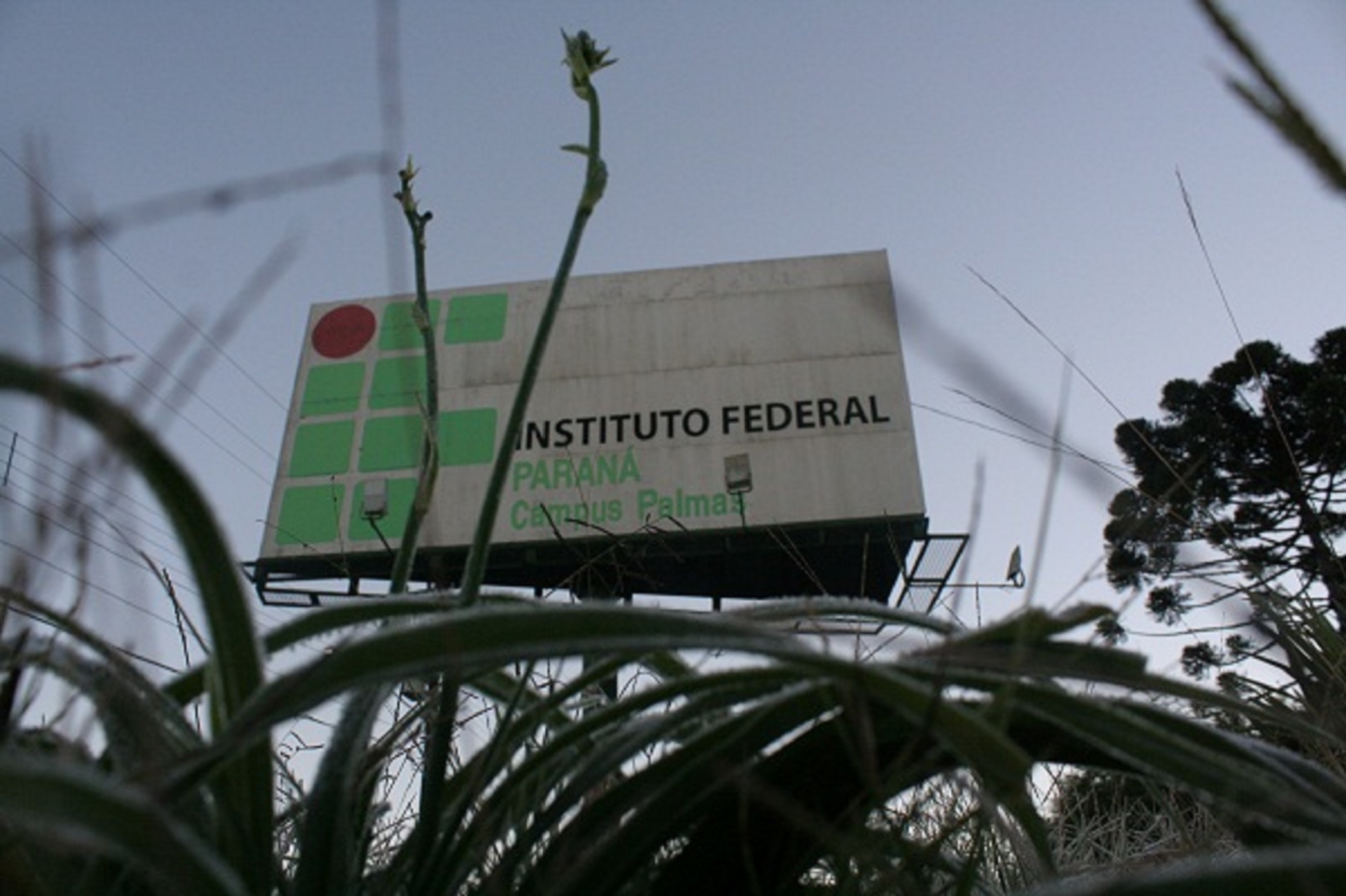 IFPR-campus-palmas1