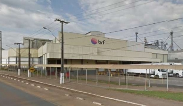 BRF de Francisco Beltrão poderá voltar a exportar perú para o México -  Grupo RBJ de ComunicaçãoGrupo RBJ de Comunicação