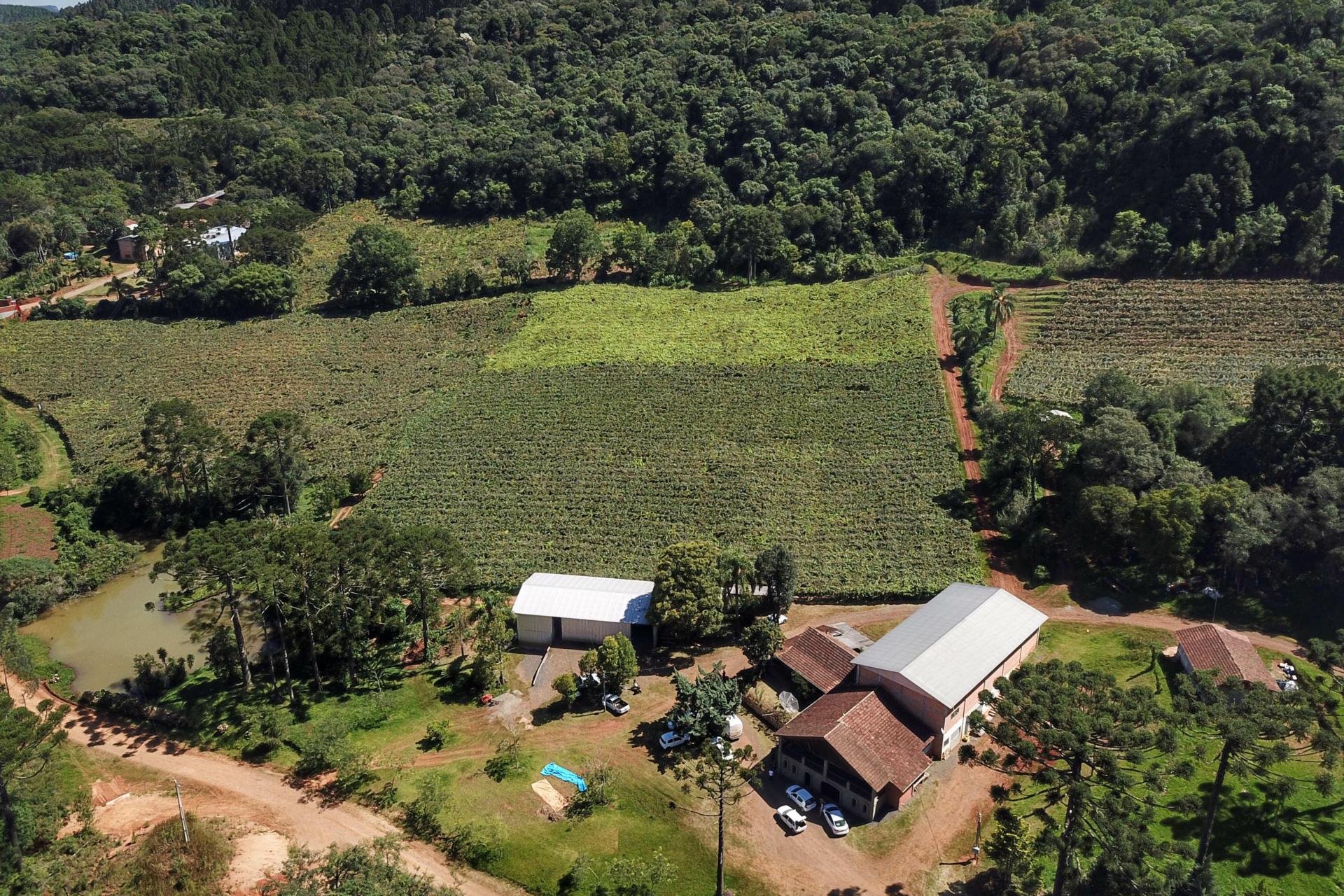 Agricultores podem ter acesso ao programa de crédito fundiário para compra de terras  